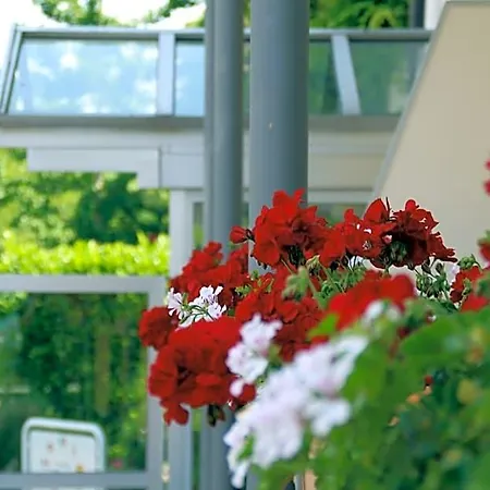 Atrium Baden 호텔