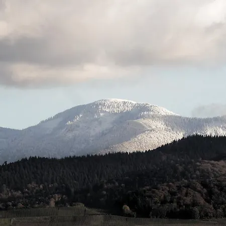 Hotel Atrium Baden Bad Krozingen