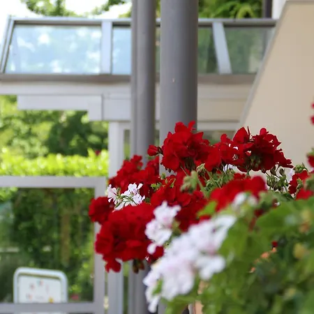 Atrium Baden 4*