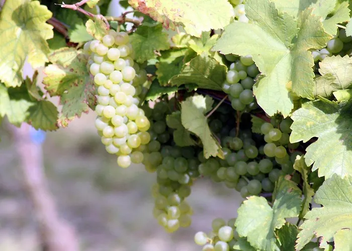 Atrium Baden Szálloda Bad Krozingen