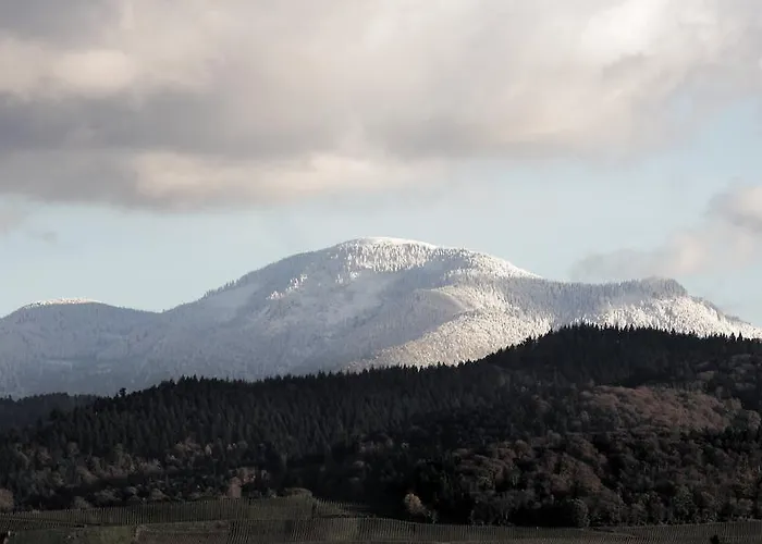 Szálloda Atrium Baden Bad Krozingen