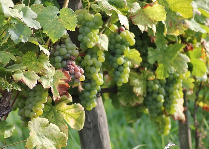 Atrium Baden 4* Бад-Кроцинген